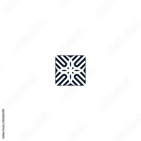 Fototapeta flower logo with box pattern