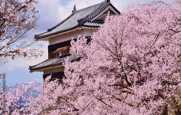 Obraz 満開の桜につつまれる上田城
