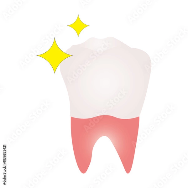 Fototapeta Sparkling Clean Tooth