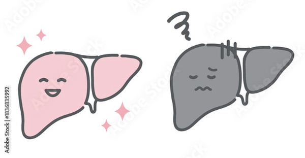 Obraz 健康な肝臓と不調な肝臓の比較イラスト（キャラクター・肝炎・脂肪肝）