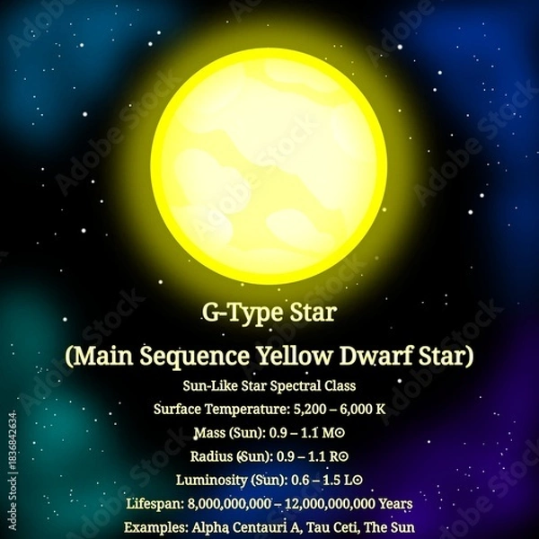 Fototapeta G-Type Yellow Dwarf Main Sequence Star (Sun-Like Star Spectral Class) – OBAFGKM Stars Infographic