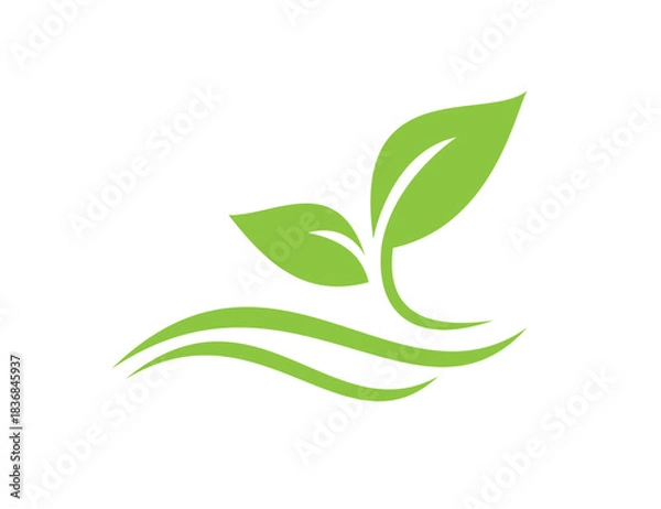 Obraz Leaf Logo Design