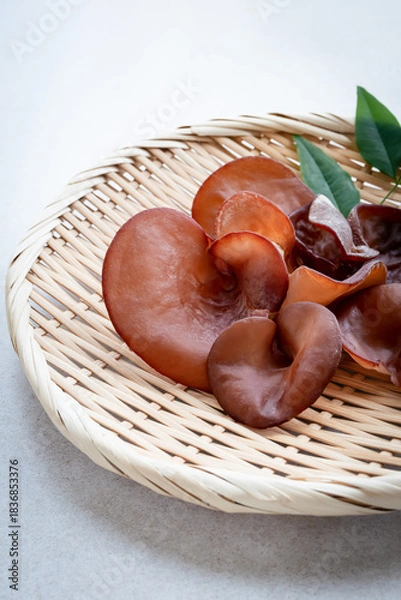 Obraz きくらげ　生きくらげ