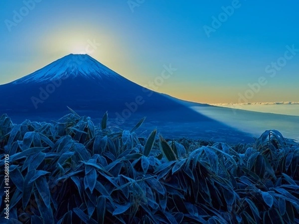 Obraz 冬の朝の山梨県富士河口湖町 竜ヶ岳山頂から熊笹と富士からの日の出