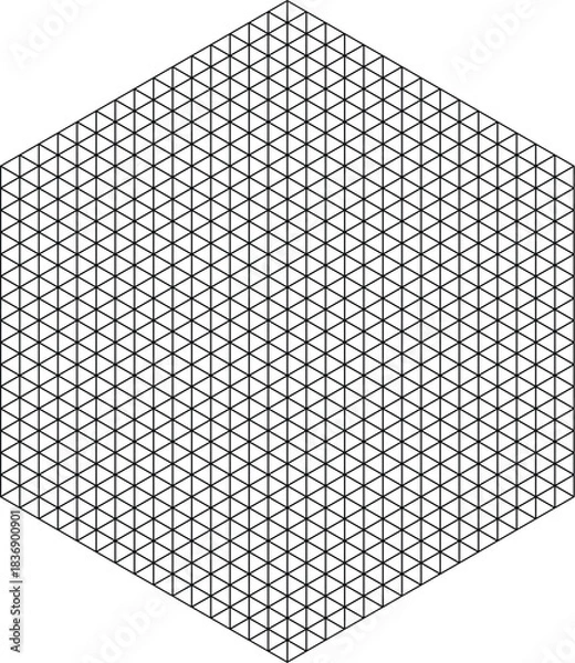 Fototapeta Intricate geometric pattern featuring a dense triangular grid within a hexagonal shape, creating a modern and abstract black and white background texture suitable for design projects