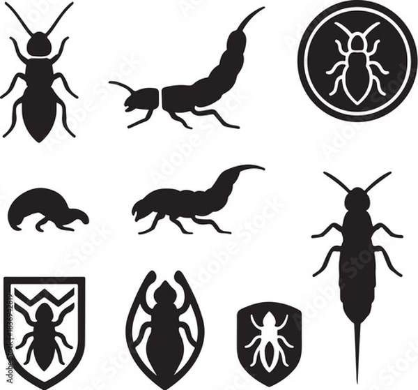 Obraz Rove Beetle Silhouette Icon Set.eps