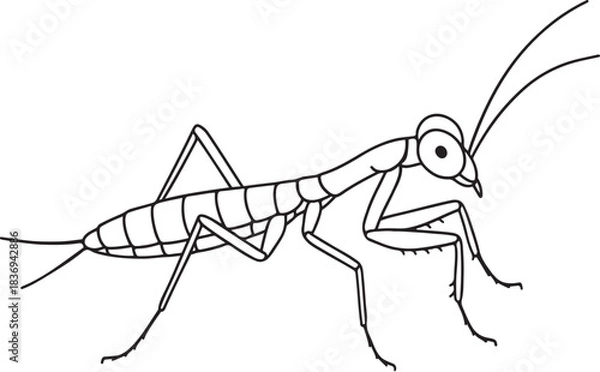 Obraz Praying Mantis Nymph Side View Slender Vector Line Illustration.eps