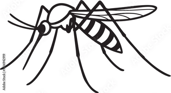 Obraz Mosquito Side View Detailed Vector Line Art Illustration.eps