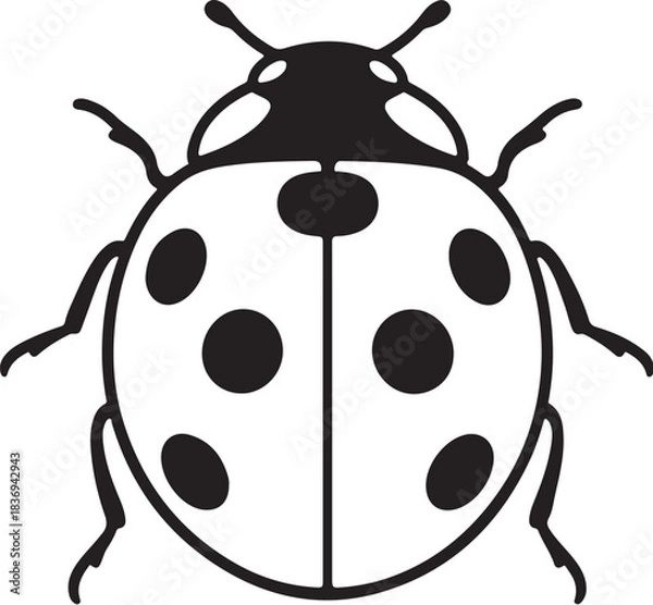 Obraz Vector ladybug.eps