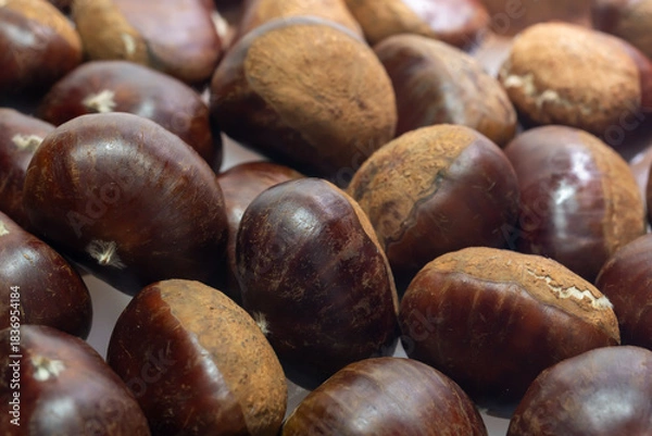 Fototapeta Maronen