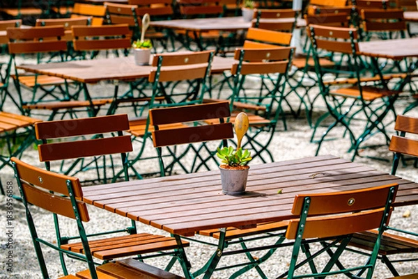 Fototapeta wooden benches and tables at a typical bavarian beergarden