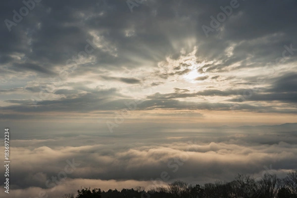 Obraz 三次市高谷山展望台から見える雲海