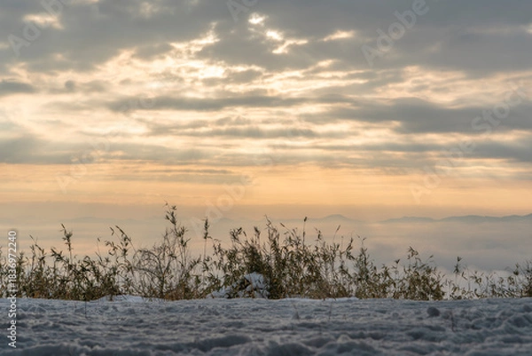Obraz 三次市高谷山展望台から見える雲海
