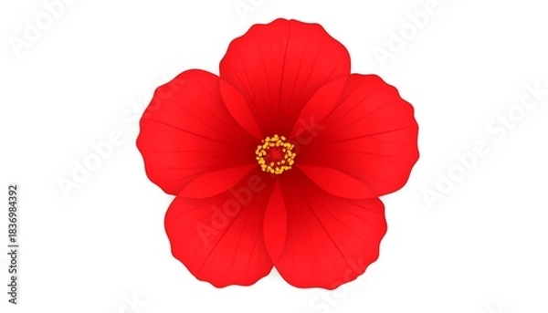 Fototapeta A five-petaled vibrant red flower with a golden yellow center is isolated against a clean, white background