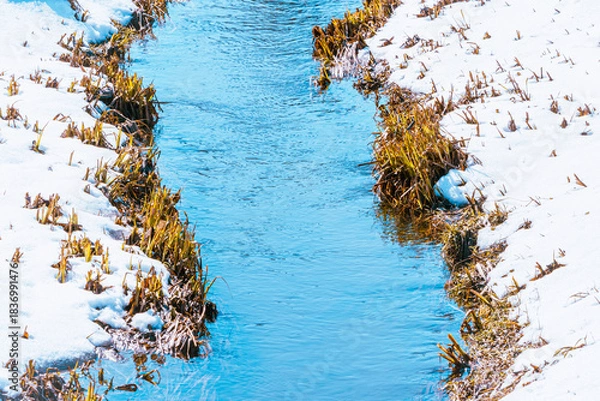 Fototapeta a spring brook passing through a meadow