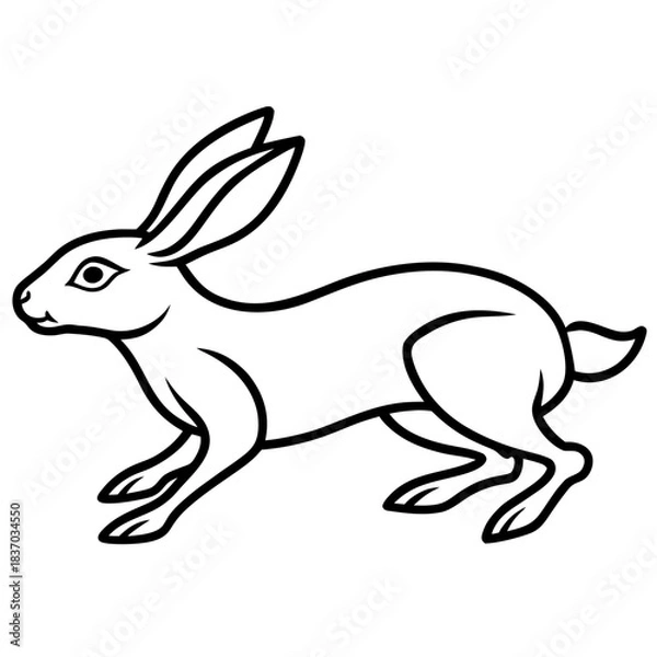Obraz Hare Running Line Art Vector