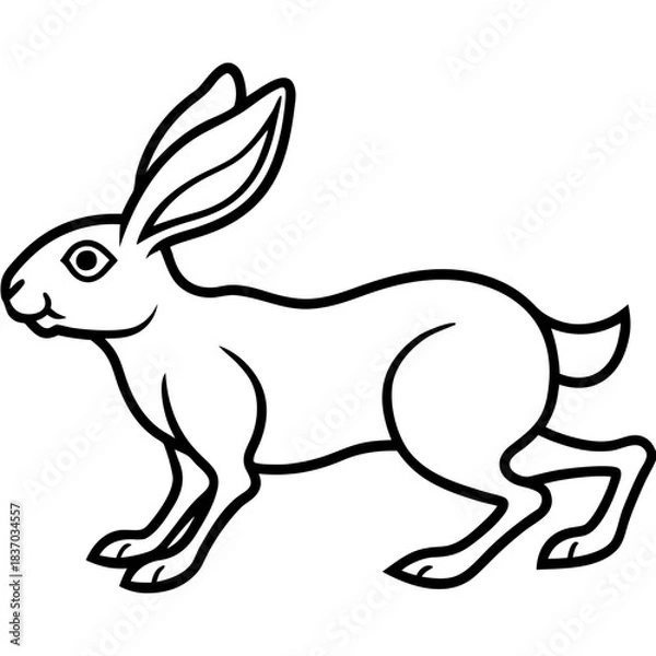 Fototapeta Hare Running Line Art Vector