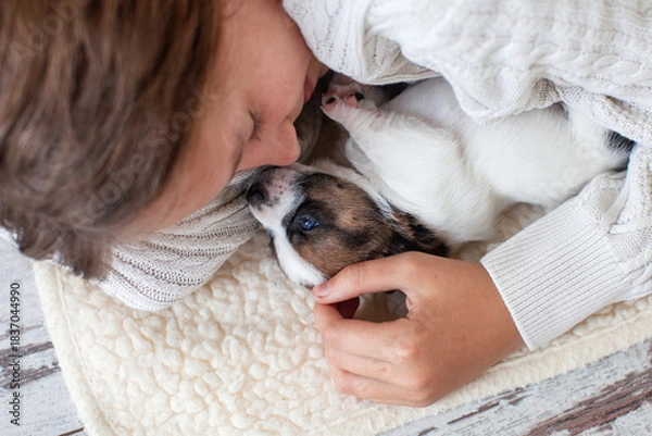 Obraz Cute Child girl play with small Dog at home