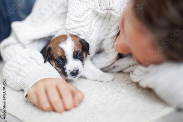 Obraz Child girl play with puppy Dog at home