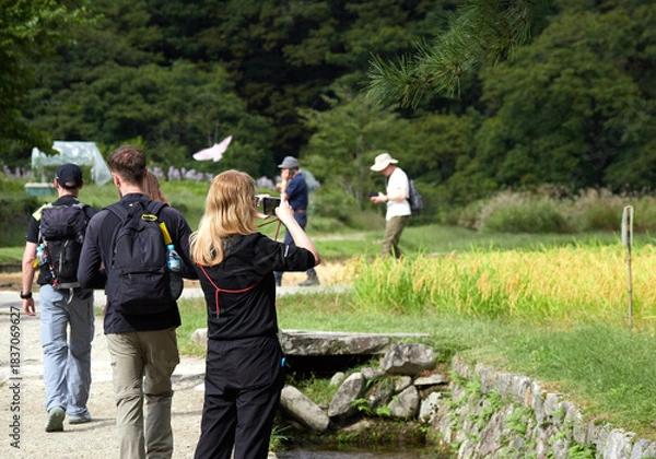 Obraz 世界遺産白川郷の白川村で散策する外国人観光客の姿と合掌造りの風景