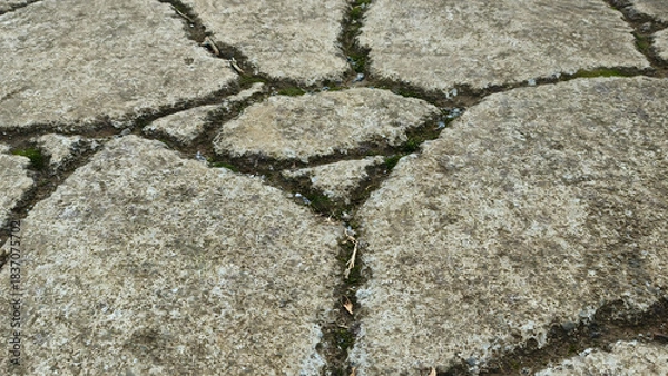 Obraz Cracked Pavement Texture
