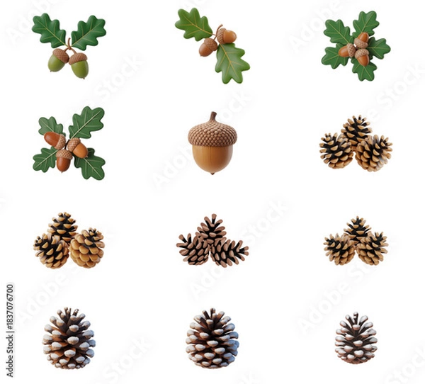 Obraz png set of icons depicting acorns, oak leaves, and pine cones, representing nature and autumnal themes.