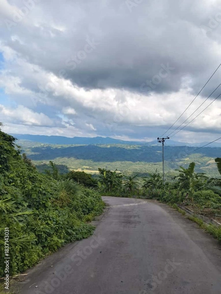 Obraz An aerial perspective of vibrant green hillside forests stretching toward mist-covered mountains, forming a peaceful and calming landscape in Bandarban, Chittagong Division, Bangladesh.