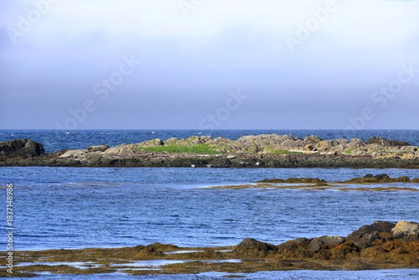 Fototapeta seal watching beach in Illugastadir, Iceland