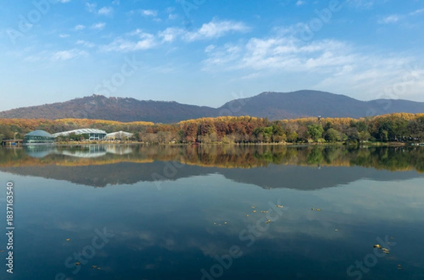 Fototapeta lake,mountain and forest an in autumn