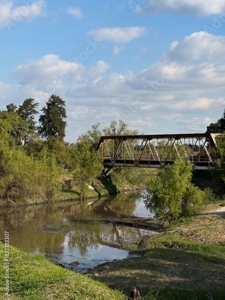 Obraz bridge over the river