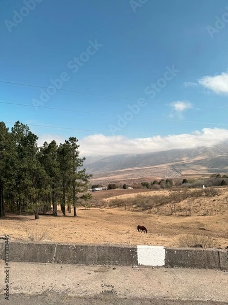 Obraz Valley in argentina 