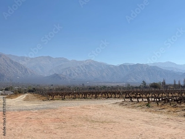 Obraz mountain landscape with vineyards