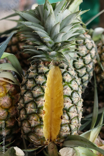 Obraz Freshly cut pineapple showing juicy yellow flesh