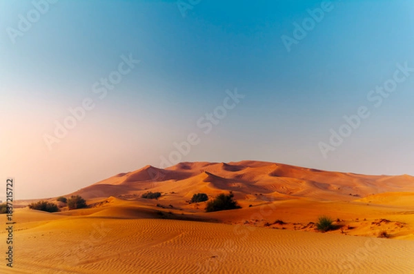 Fototapeta The sun rising on the pristine and untouched red dunes in the desert near Dubai