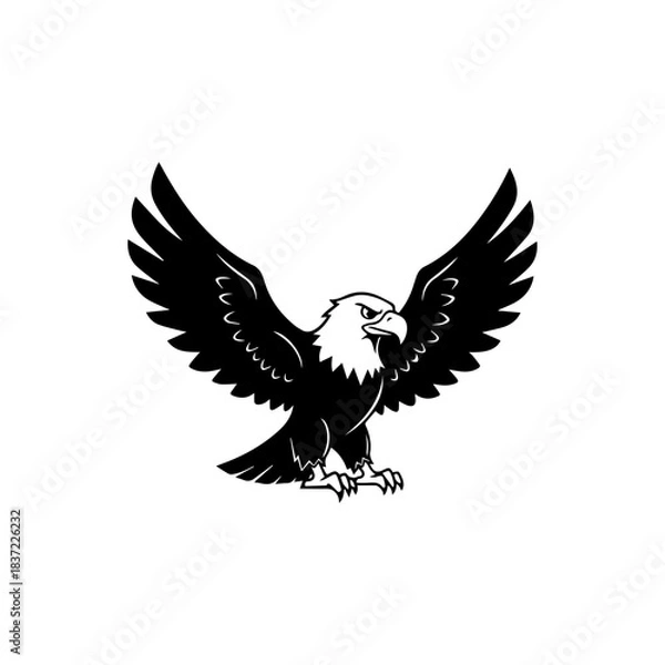 Obraz eagle vector illustration