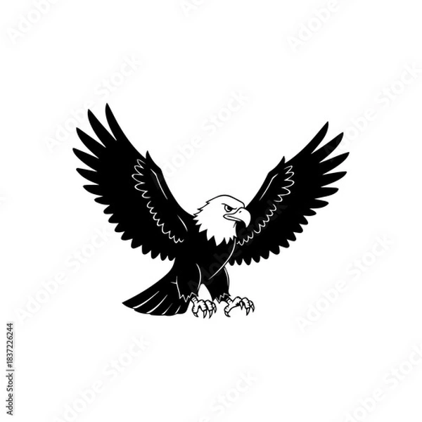 Obraz eagle in flight