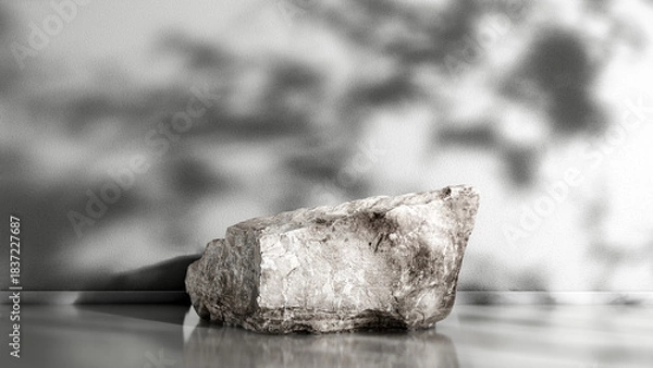 Obraz Minimalist rock podium with soft shadows and seamless background