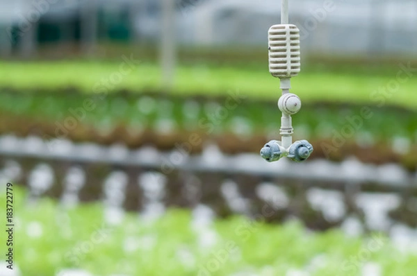 Obraz Hanging mist emitter above hydroponics plants