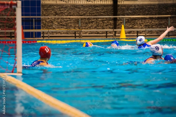 Obraz Water polo players