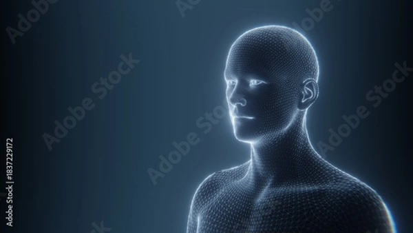 Obraz Digital human body model in a futuristic, technological representation. 3D render