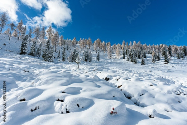 Obraz Berglanschaft Kremstal  bei Neuschnee in Österreich