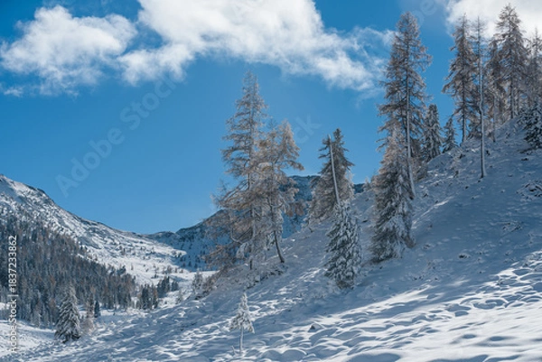 Obraz Kremstal  bei Neuschnee in Österreich