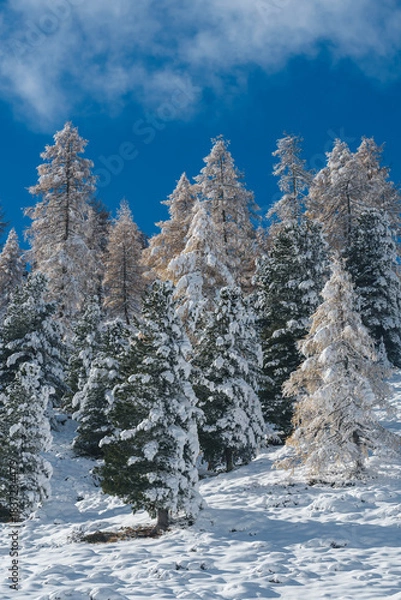 Obraz Kremstal  bei Neuschnee in Österreich