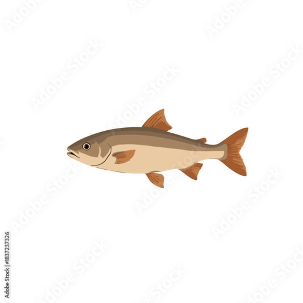 Fototapeta Stylized 3D fish with smooth surface and natural colors