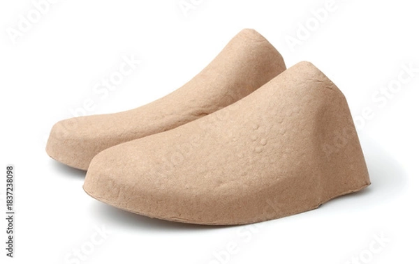 Obraz Paper pulp molded shoes inserts