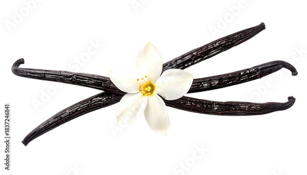 Fototapeta Vanilla bean pods and flower in the center on a black background, top-down, horizontal composition