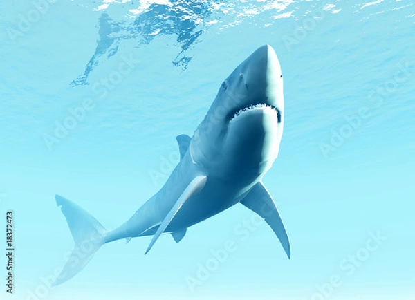 Obraz Undersea Shark