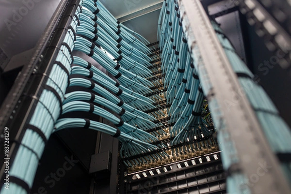 Fototapeta Modern Data Center with Cable Management