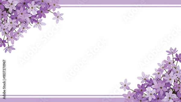 Fototapeta Elegant purple flowers creating a decorative border on a clean white background with subtle lilac lines, perfect for spring and celebration designs