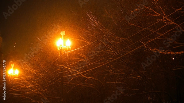 Obraz Night winter street lamp with falling snow